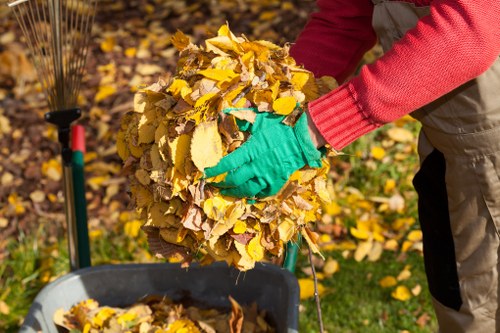 Eco-friendly disposal during flat clearance in Wallington